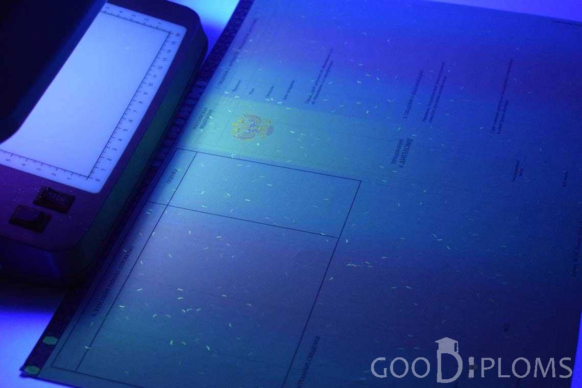 Приложение к Диплому Бакалавра с Отличием в Ультрафиолете период c 2013 по 2025 год - Пинск
